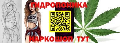 стаф Краснознаменск
