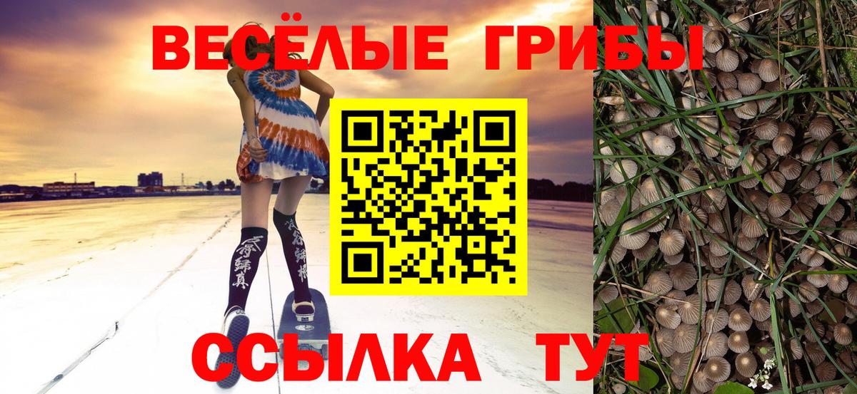 Псилоцибиновые грибы Psilocybe  Вход с VPN  Гулькевичи 