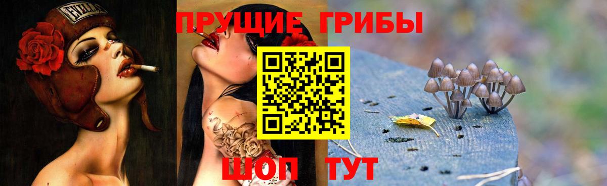 Галлюциногенные грибы GOLDEN TEACHER Гулькевичи